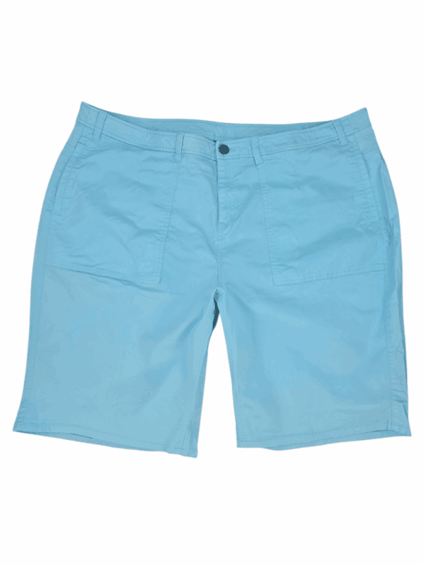 Lane Bryant Aqua Blue 4-Pocket Shorts – SIZE 26
