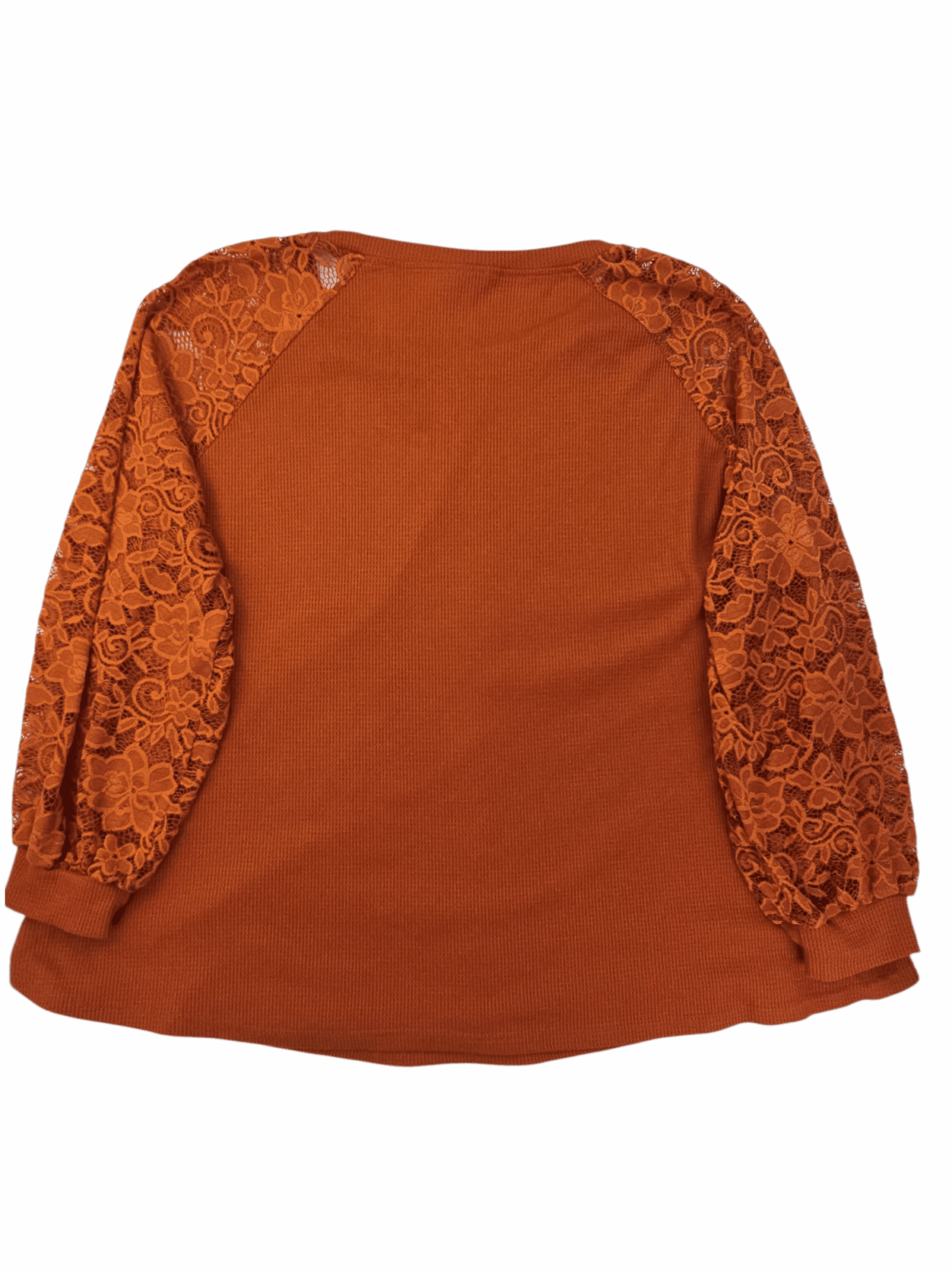 Rust-colored long-sleeve top with lace sleeves and a scoop neckline.