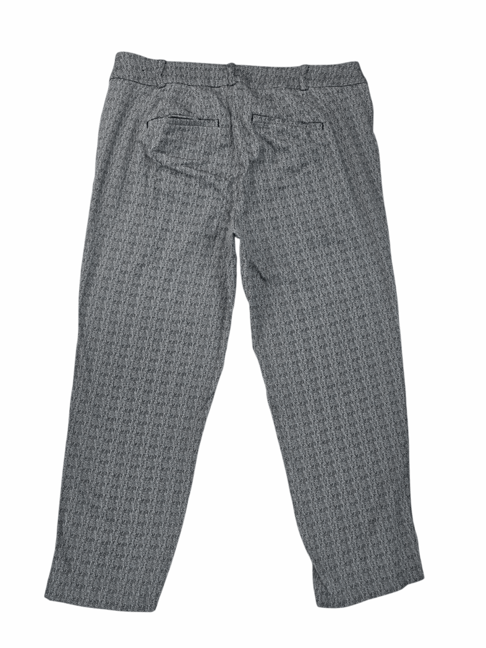 Back view of Lane Bryant The Alley cropped slacks women’s size 18R