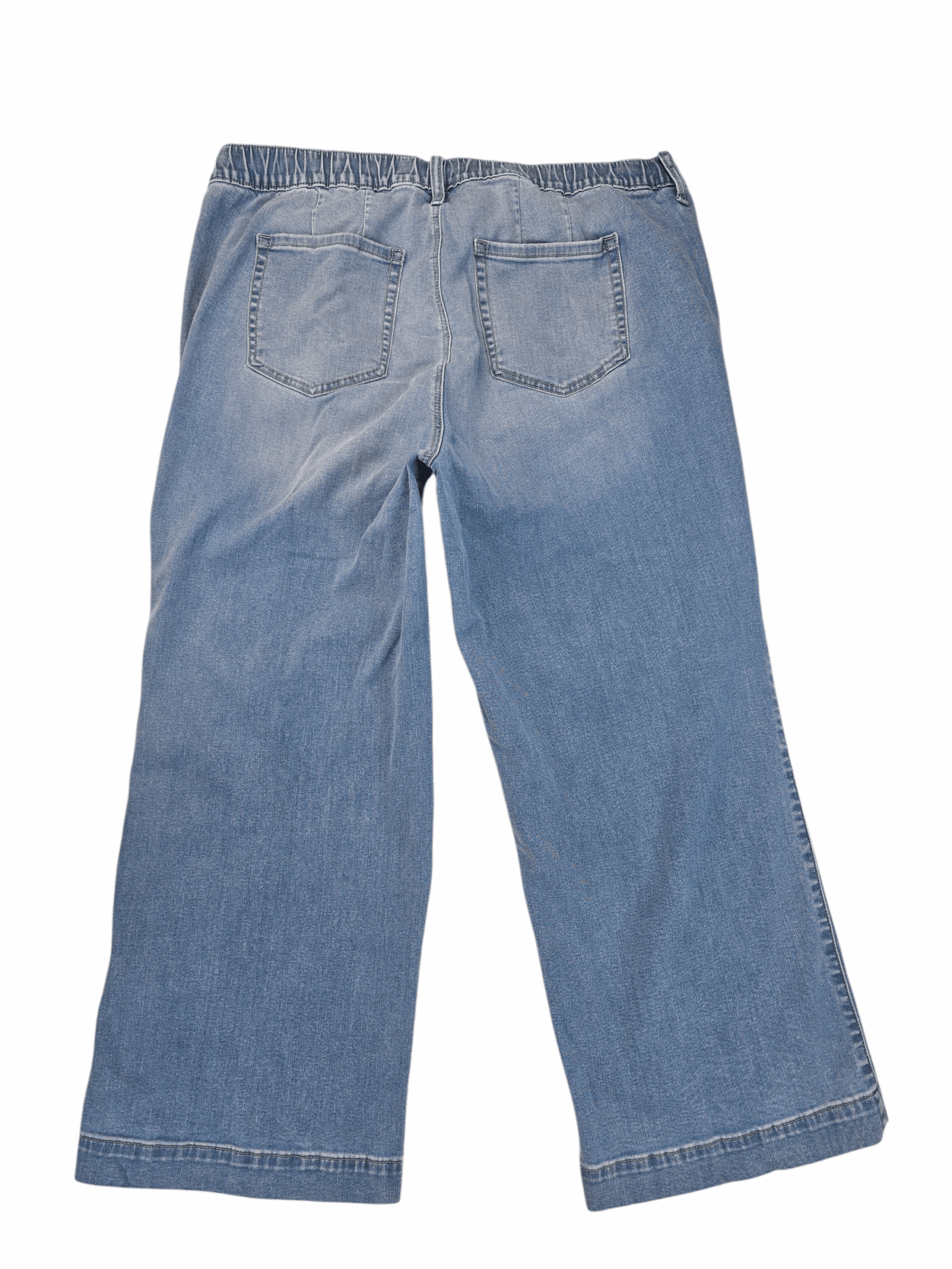 Back view of Torrid light blue denim ankle pants showing back pockets and cropped hem.