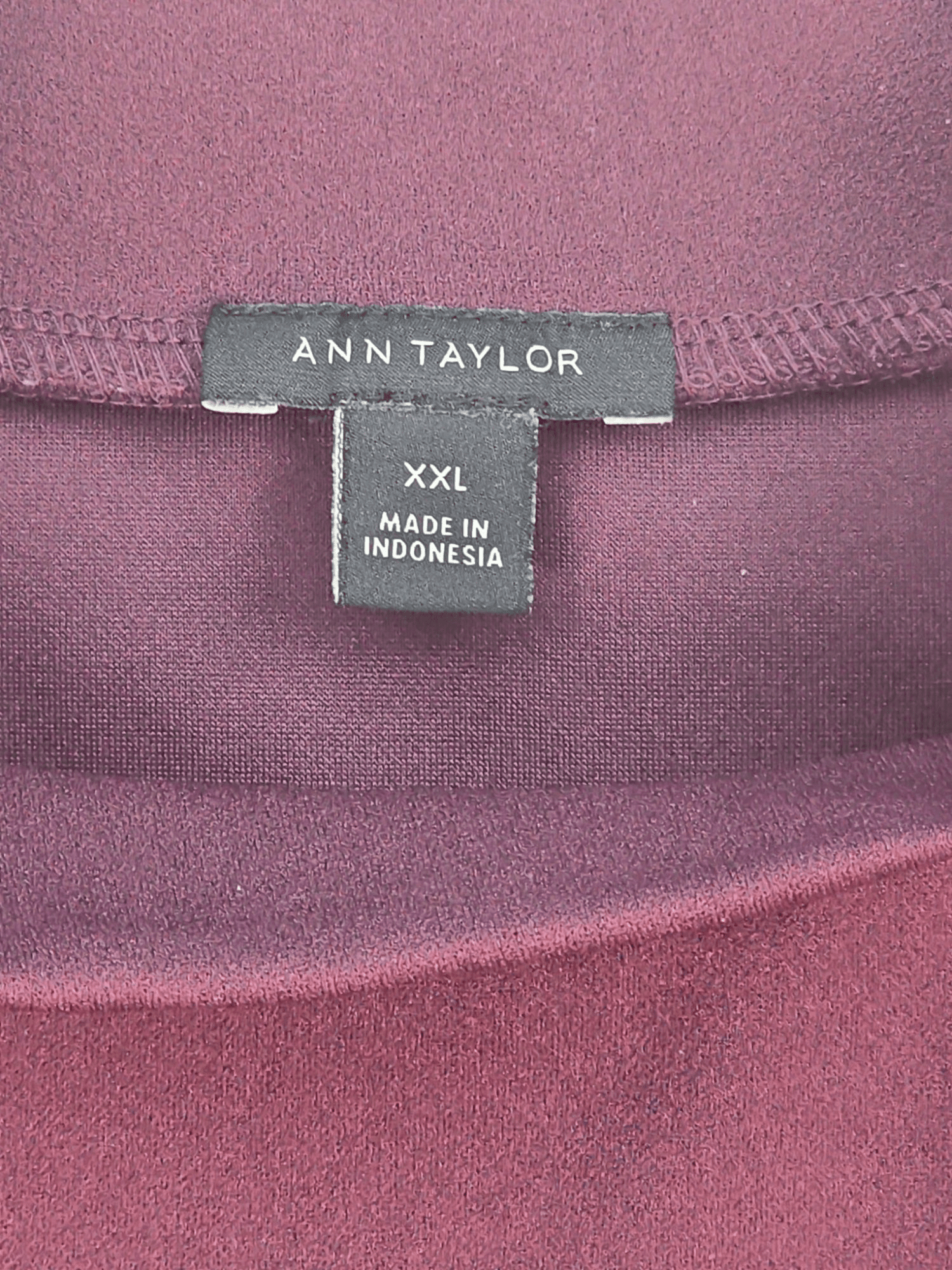 Ann Taylor brand and size tag on plum high neck pullover top in women’s size XXL.