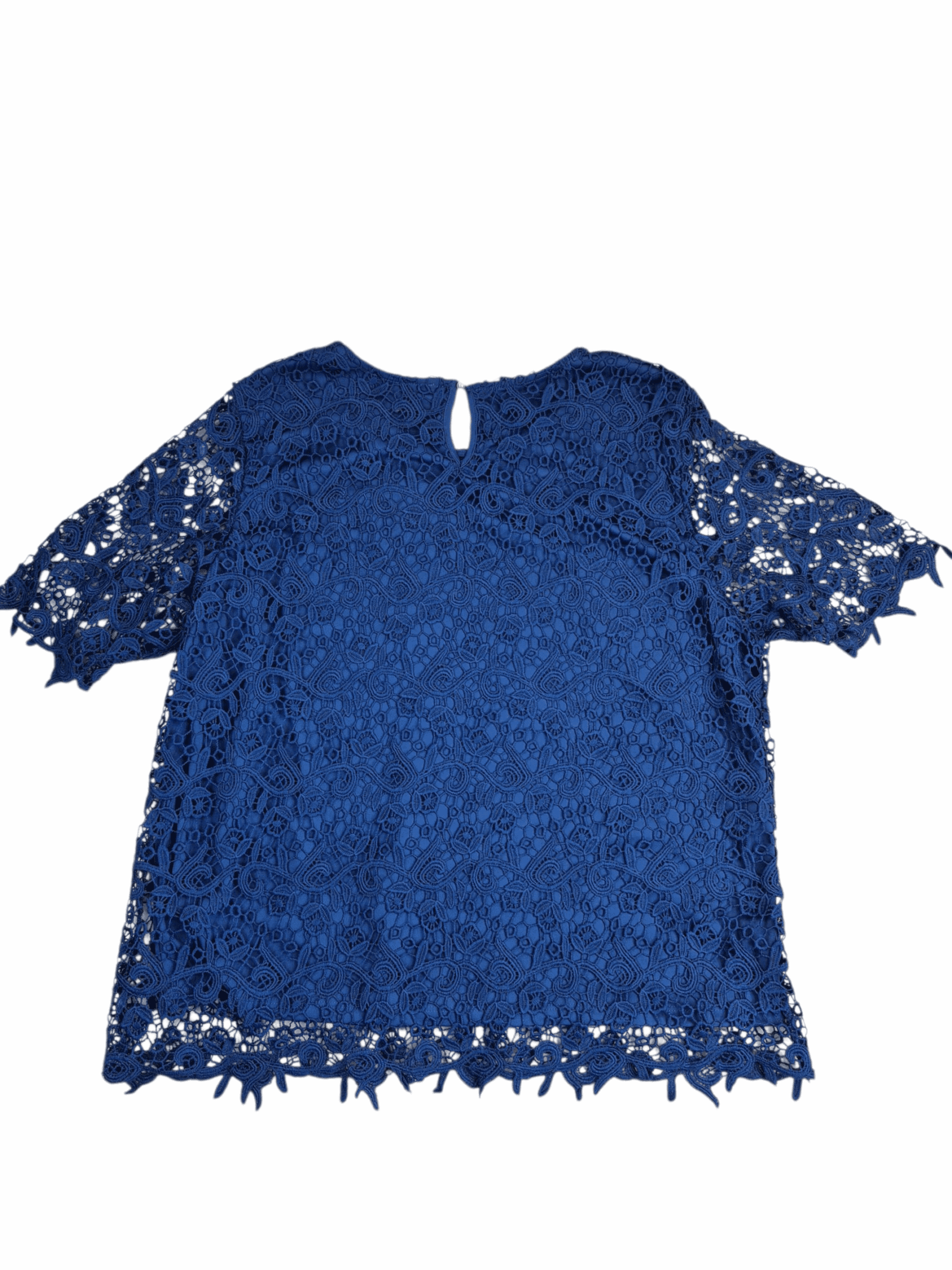 Back view of Philosophy Republic Clothing women’s size 2X blue lace overlay top