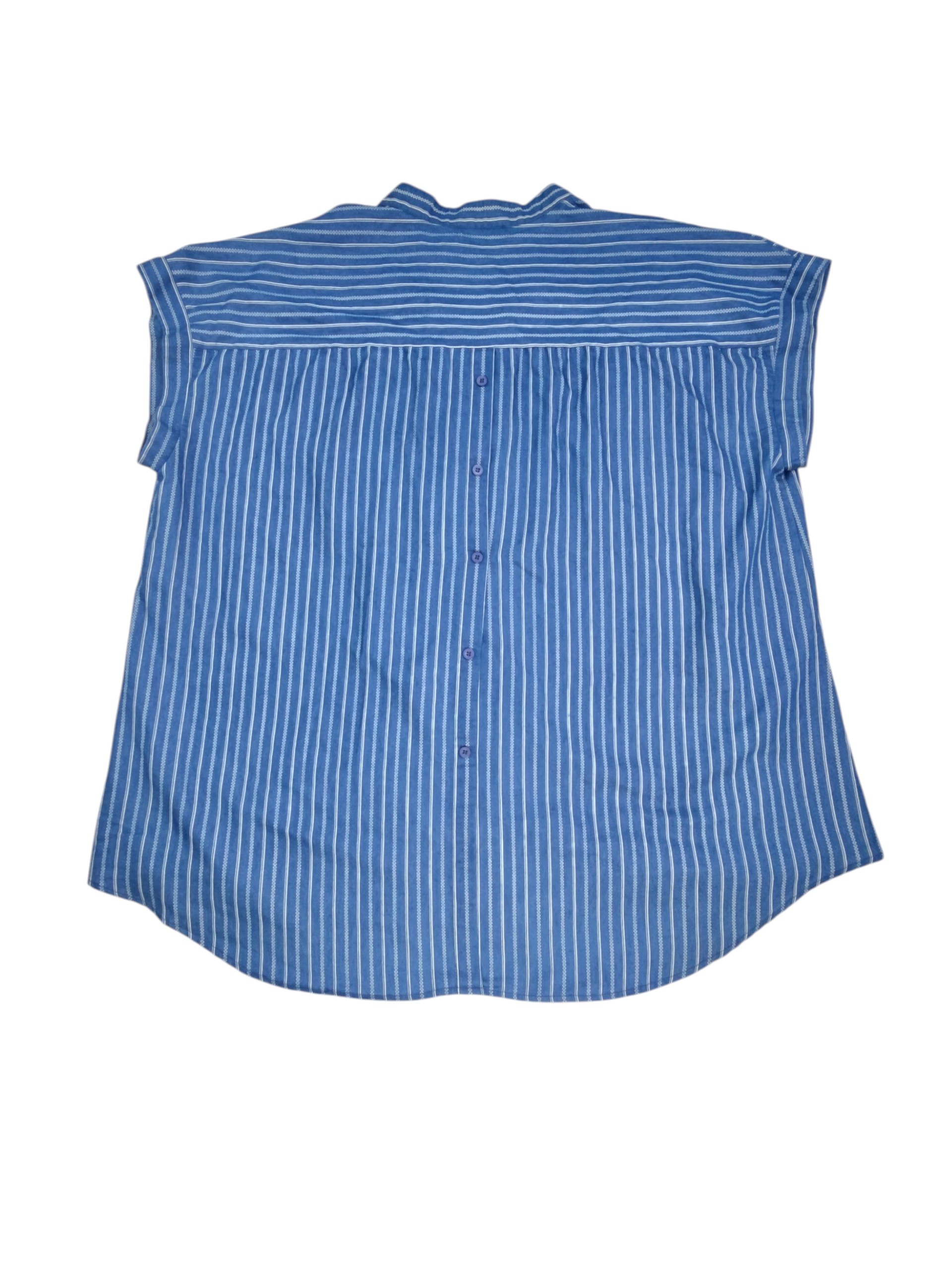 Weekend Suzanne Betro blue striped sleeveless blouse plus size 4X back view